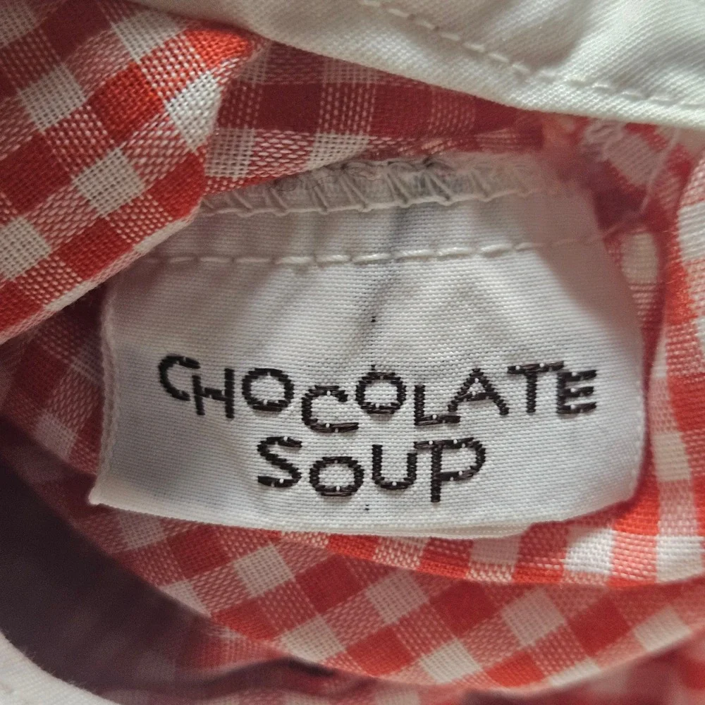 Vintage Chocolate Soup Spider Web Ladybug Embroidered Gingham Chambray Dress 12M